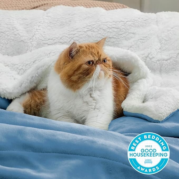 Bedsure GentleSoft Sherpa Fleece Blankets Queen Size for Bed - Thick and Warm Throw for Women and Men, Soft Fuzzy Plush Queen Blanket for Winter, Non-Heated, Washed Blue, 90x90 Inches