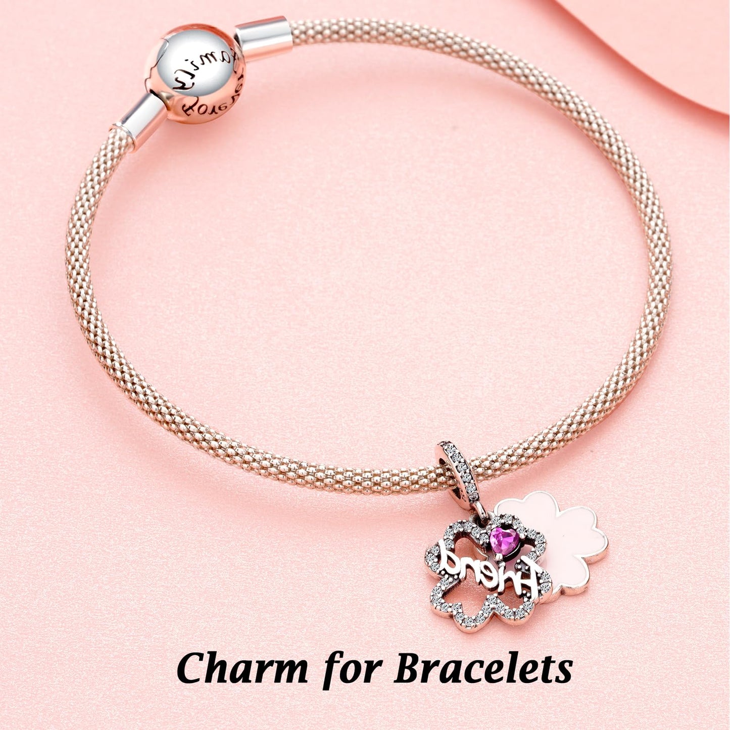 Annmors 925 Sterling Silver Charms fit Bracelets Necklaces Friends Flower Dangle Beads with 5A Cubic Zirconia Christmas Valentin