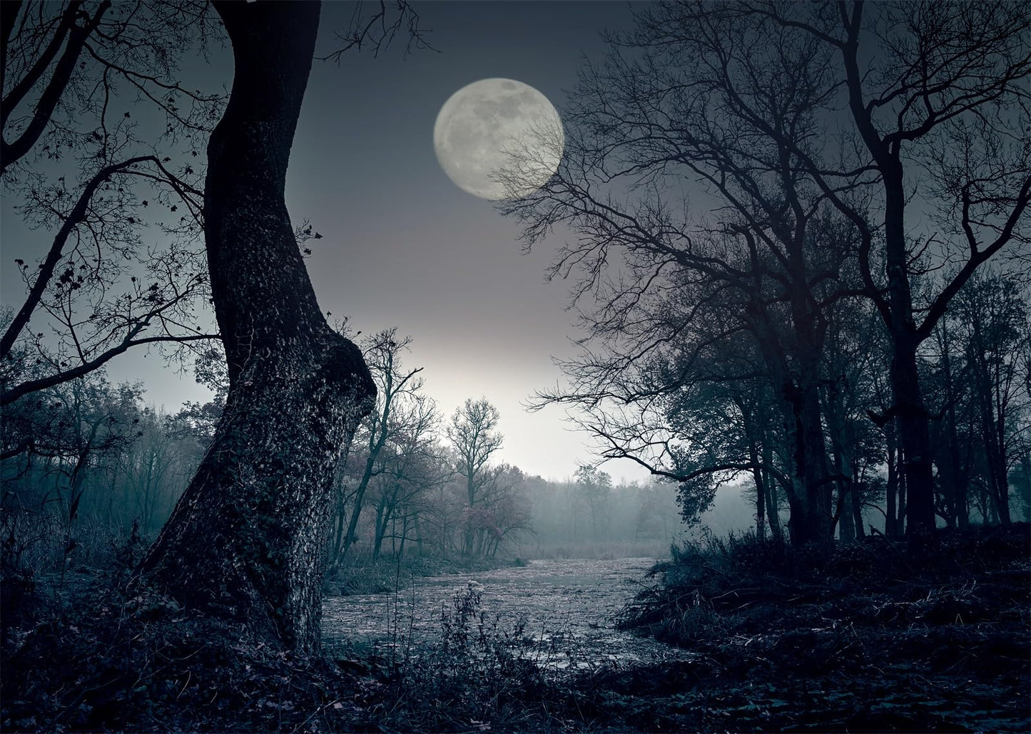 CORFOTO 7x5ft Dark Forest Backdrop Horrible Spooky Forest Night Photography Backdrop Halloween Full Moon Night Backdrop Halloween Eve Party Decor Backdrop Kids Photo Booth