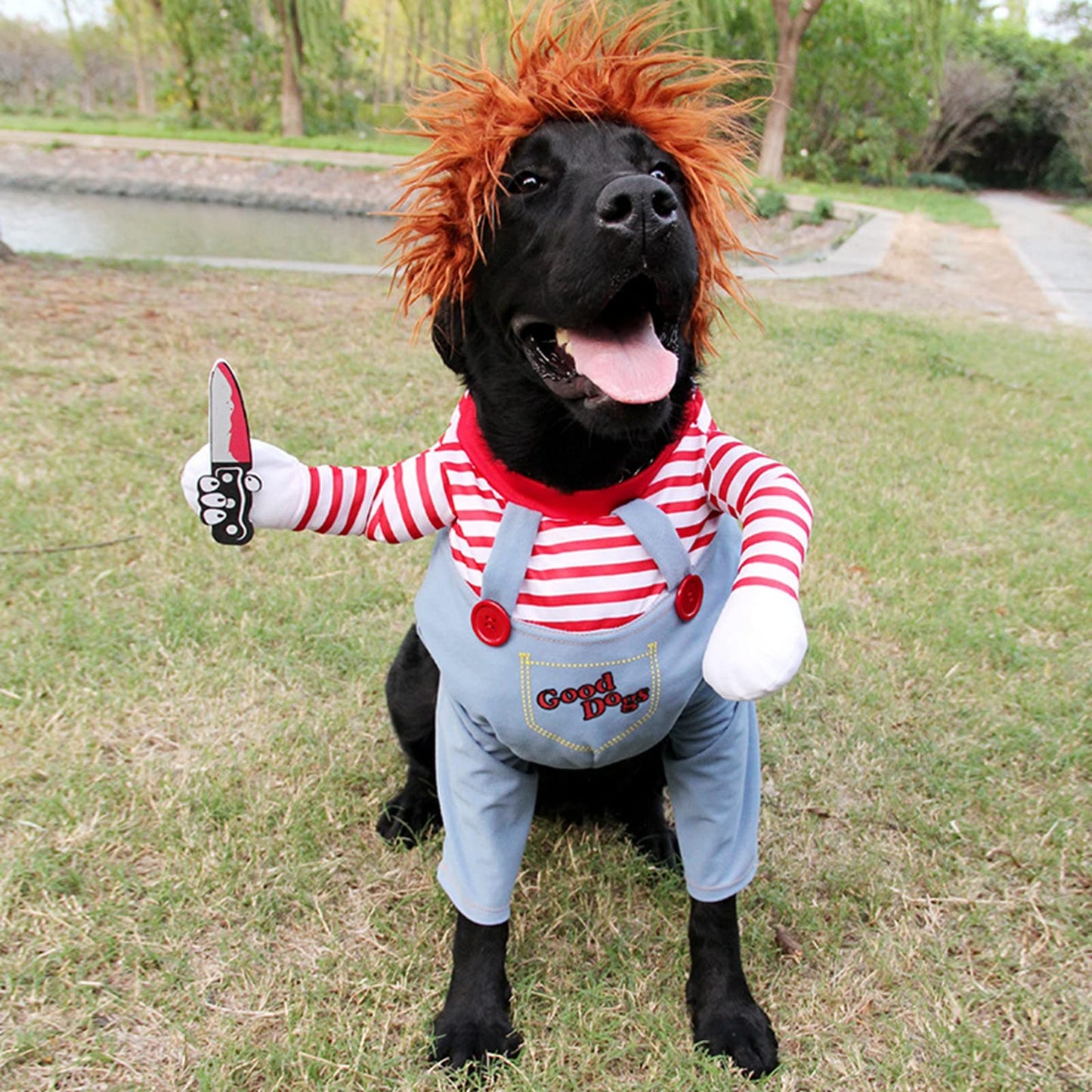 Pet Deadly Dog Cosplay Halloween Christmas Funny Costume for Small, Medium & Large Dogs (X-Large)