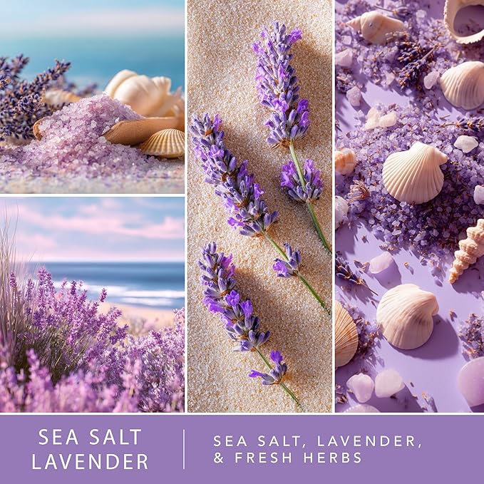 Scentsationals Fragrance Oil Plug in Air Freshener Refills 3-Pack - Sea Salt Lavender - Works with Scentsationals Wall Plugs, Long-Lasting Home Fragrance, 0.8 fl oz Each, Packaging May Vary