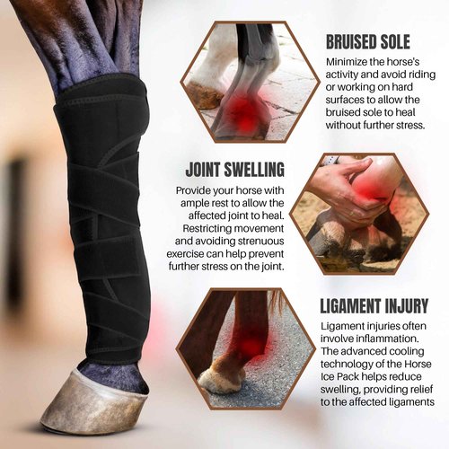 Hudson Comfort Horse Ice Boots Set of 4 – Cooling Horse Ice Pack Wrap for Knee, Hock, Ankle, Hooves Injury – Hot and Cold Therapy Horse Leg Wraps – Full Coverage Cold Packs - 4 Wraps + 8 Gel Packs