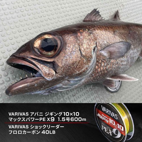 VARIVAS Braid Line Avani Jigging 10x10 Max Power PE X9 300m