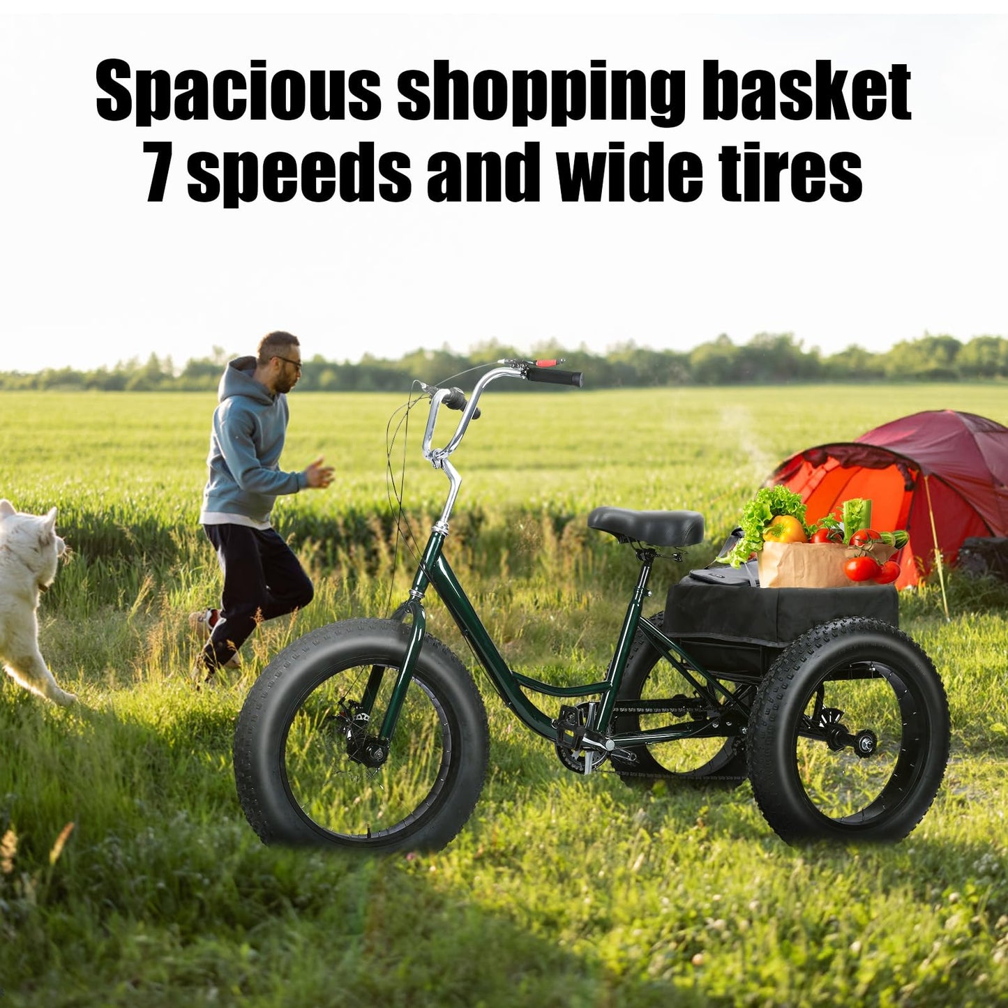 Rodiuiu Adult Tricycle, Fat Tire 7 Speed Cruiser Trike, 20 Inch 3 Wheel Bikes with Large Basket for Seniors, Women, Men, Adult Trikes for Shopping Picnic Outdoor Sports