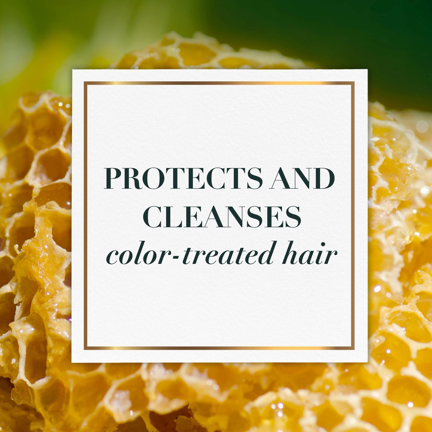 Herbal Essences Sulfate Free Shampoo and Conditioner Set, Infused with Honey and Vitamin B, Moisturizing, Safe for Color Treated