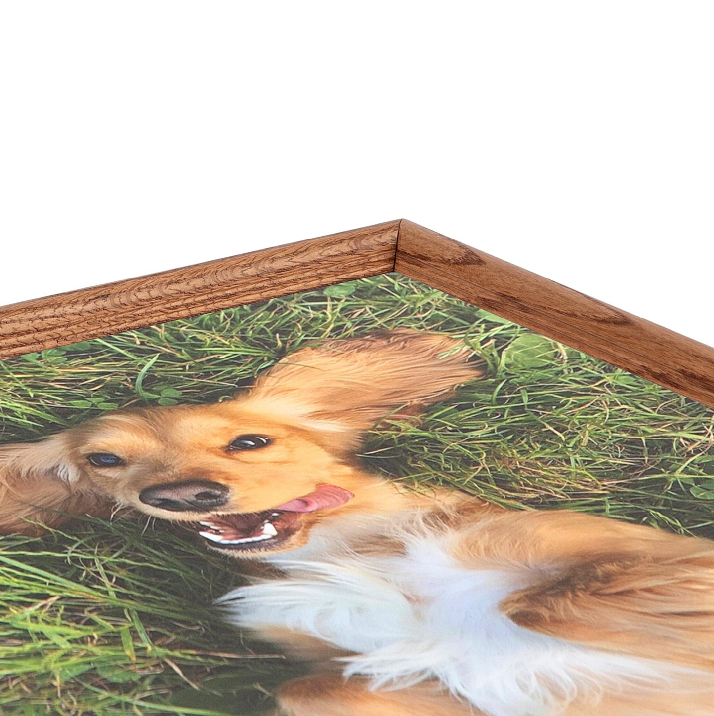ArtToFrames 11x12 inch Honey Oak Wood Picture Frame, 2WOM01336-150-11x12