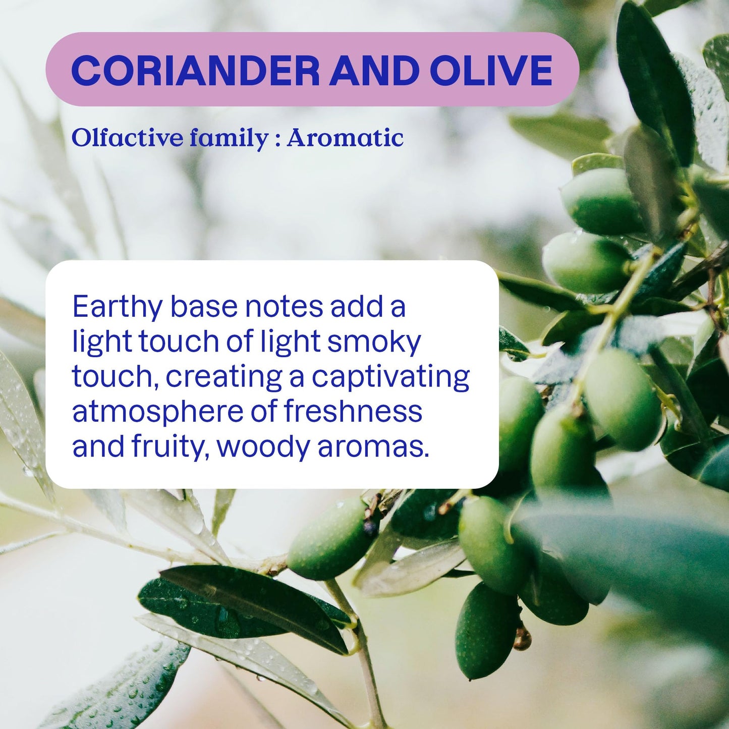Attitude Odor Eliminator With Activated Carbon, Plant-Based Air Purifier, Vegan, Coriander And Olive, 8 Ounces
