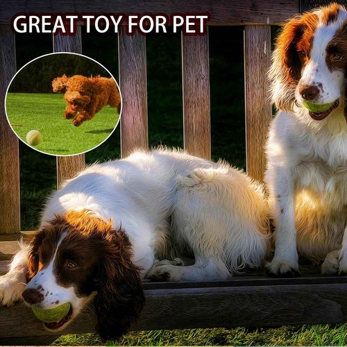 SHYUJAJIE Tennis Balls, 90 Pack Training Tennis Balls Bulk, High Elasticity Practice Tennis for Beginner, Exercise Playing Balls for Pet Dog(Multicolour)