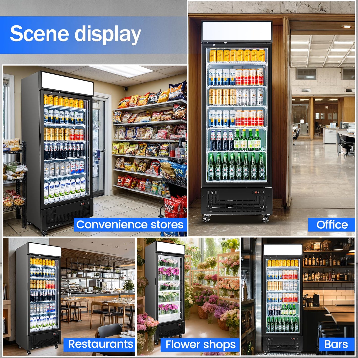 BINGERMA Commercial Beverage Refrigerator 15 Cu.ft. with Glass Door Display Merchandiser Fridge ETL Drink Cooler for Bars, Restaurants, Convenience Stores, Supermarkets and Offices