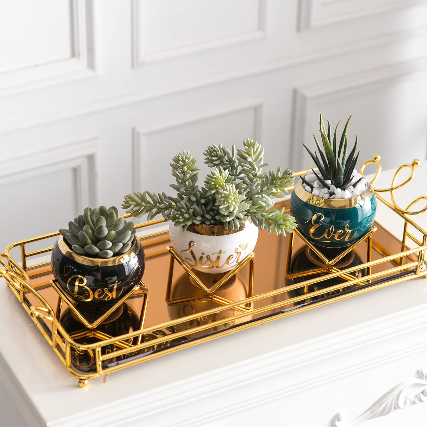 Sister Birthday Gifts for Women from Sisters, Mothers Day Gifts for Sisters from Sisters Adult, Cool Gifts for Adult Sister, Gift for Women Friend, Little Sister Gifts, Succulent Pot Gifts for Ladies