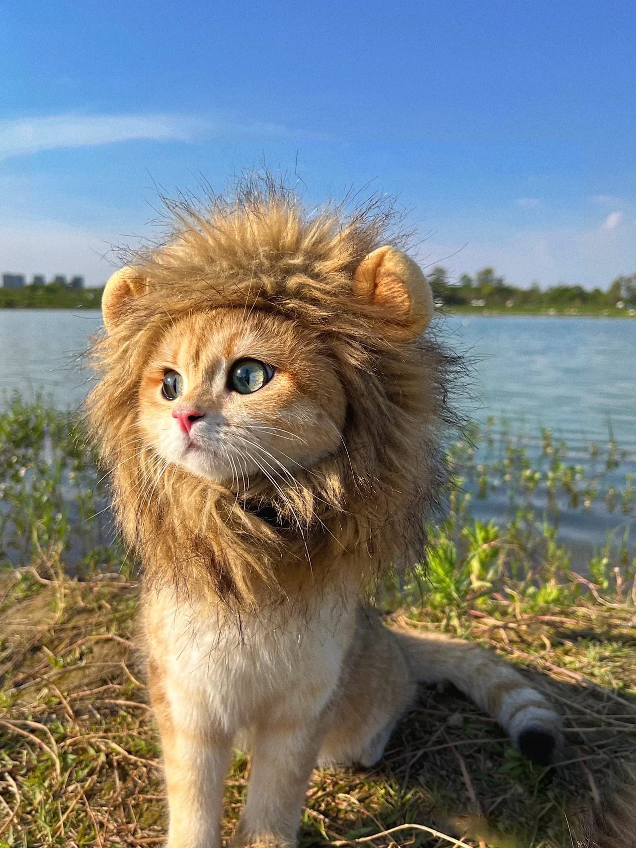 PenVinoo Lion Mane Wig for Cat,Dog and Cat Costume,Funny Pet Cat Costumes for Halloween Christmas, Parties, Photo Shoots (Size M, Melange Brown)
