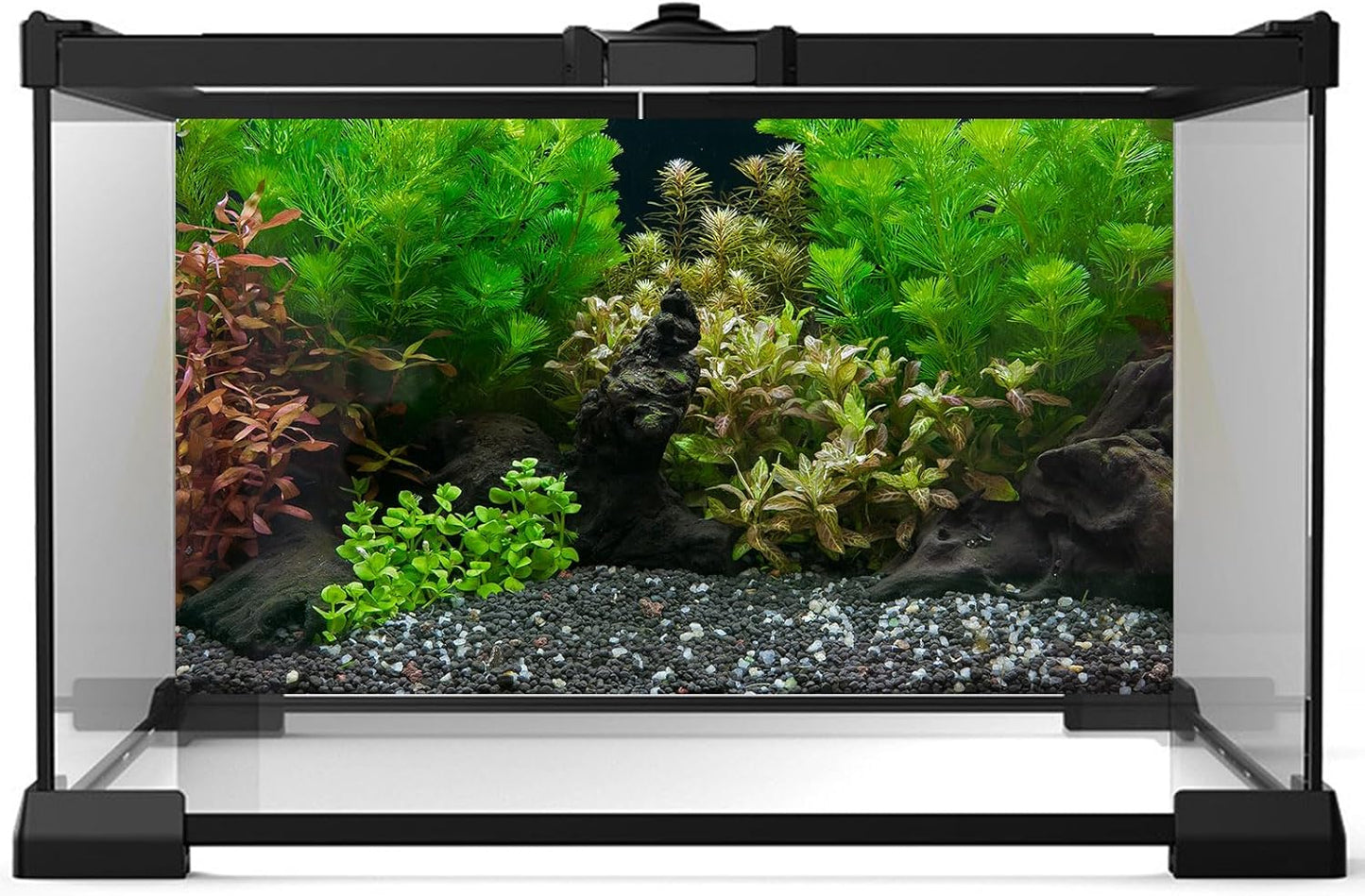 Aquarium Background Exquisite Underwater Grass Leaves with Pebbles Aquarium Backdrop Vivid Green Aquatic Plant Stone with Dead Woods and Fresh Leaves Fish Tank Wallpaper 72x16in