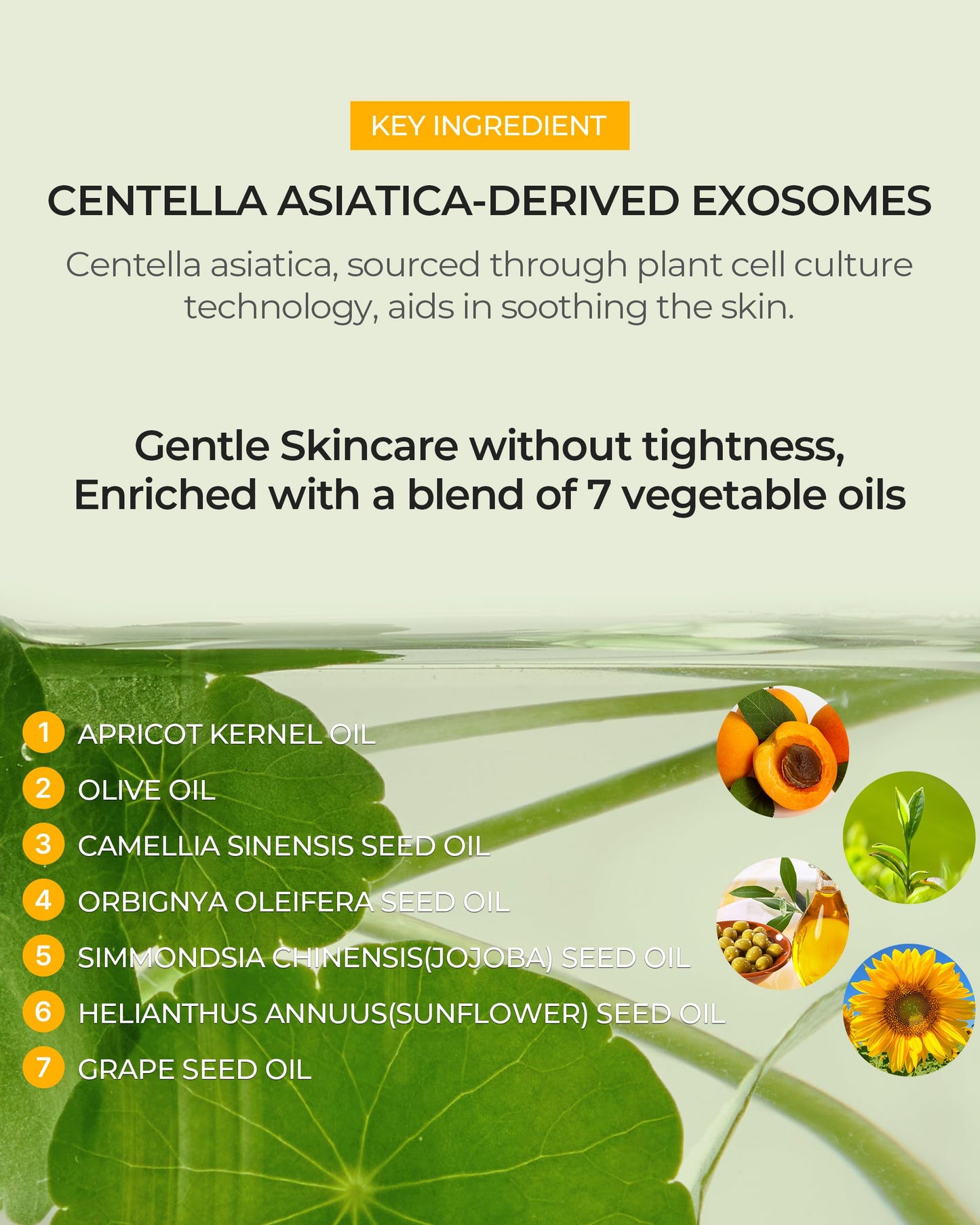 BE THE SKIN Pore Reset Glass Skin Cleansing Oil - Gentle Makeup Remover Oil for Glass Clear Skin with Plant-derived Oils - Remov
