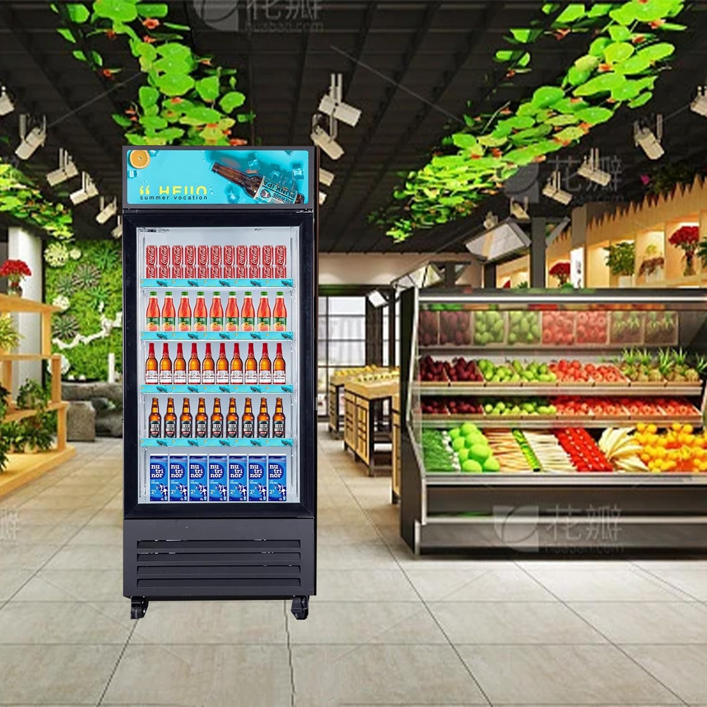 NAFCOOL Commercial Beverage Refrigerator Display Fridge,Single Glass Door Merchandiser Drink Cooler with LED Light Adjustable Shelves,ETL and NSF Approval,16.5Cu Ft,68.9''High