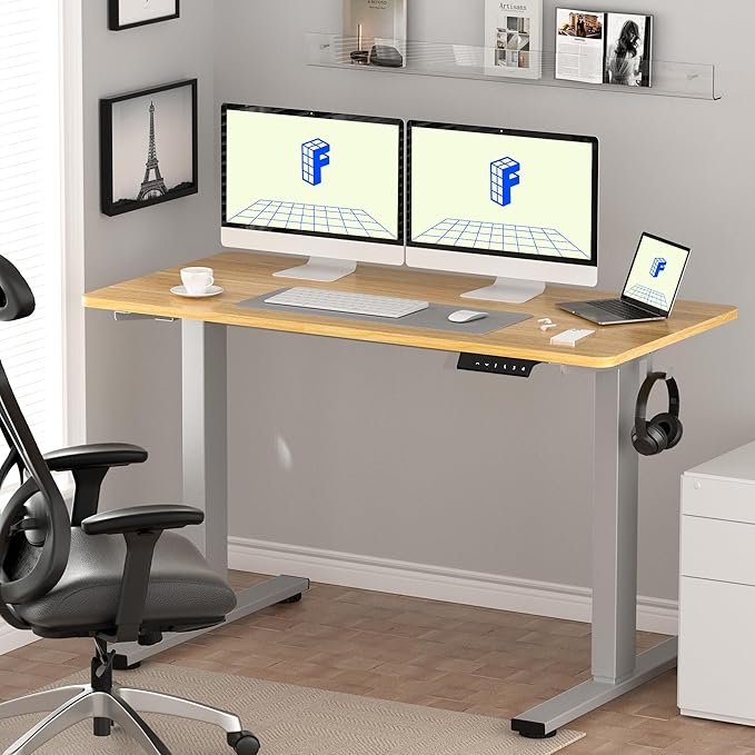 FLEXISPOT EN1 One-Piece Adjustable Stand Up Workstation 60 x 24 Inches Electric Standing Desk (Silver Frame + 60 Inches Natural Top, 2 Packages)