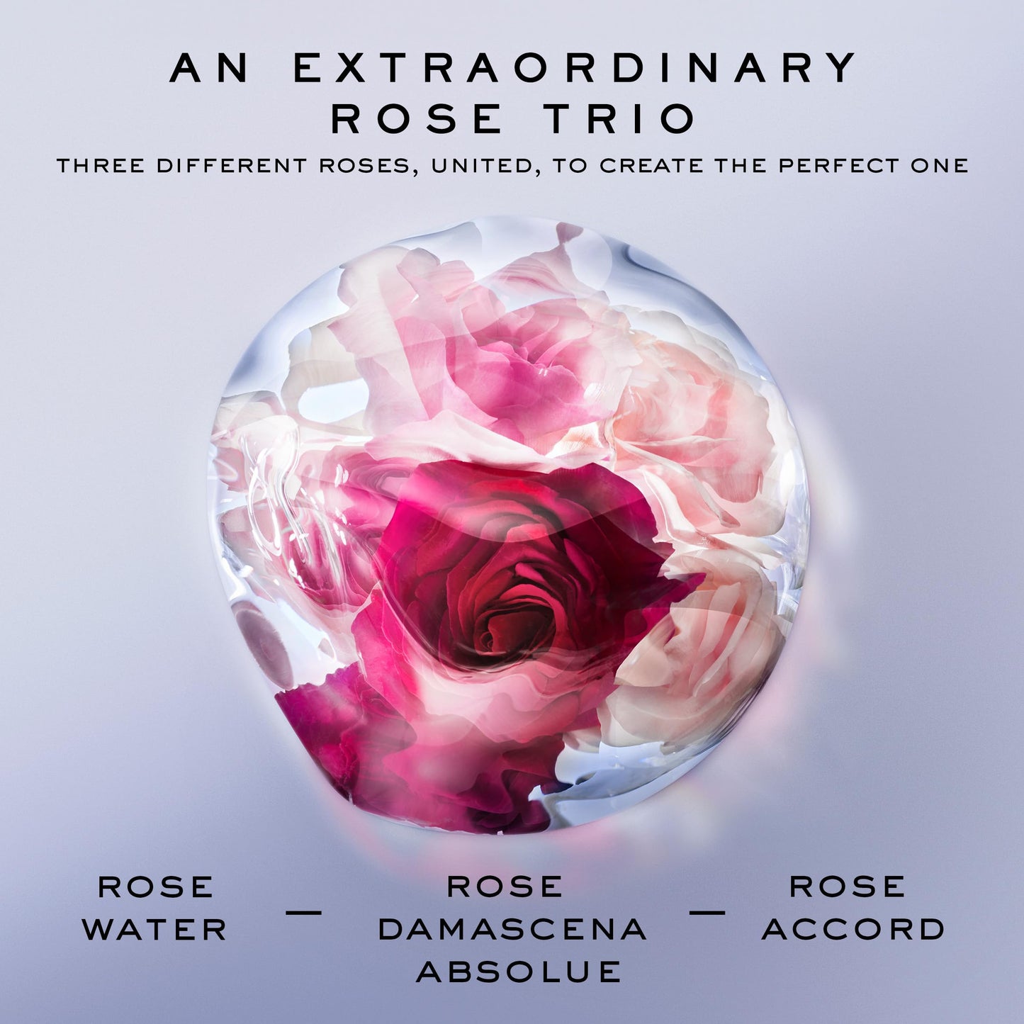 Lancôme La Vie Est Belle Rose Extraordinaire Eau de Parfum - Amazon Exclusive - Long Lasting Fragrance with Rose, Iris & Woody Musk - Women's Perfume – Travel Size 0.34 Fl. Oz.