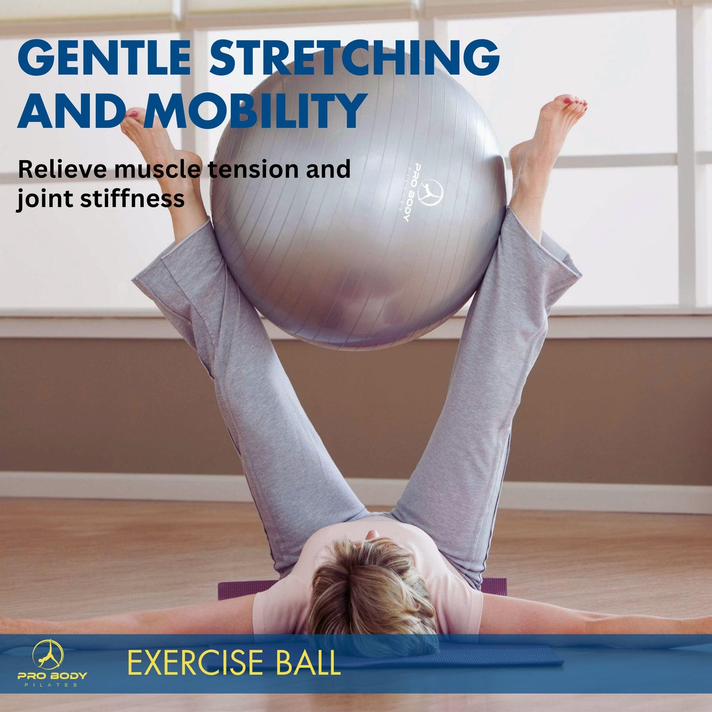 ProBody Pilates Exercise Ball - Multiple Sizes Gym Grade Balance Ball for Fitness, Workout, Pregnancy & Physical Therapy, Stability Yoga Ball Chair (Silver, 45 cm)
