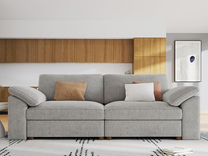 EASE MOOSE Modern Loveseat Sofa for Living Room, Comfty 2 Seat Solid Wood Frame Sofa, FSC Certified Modern Deep Seat Couch