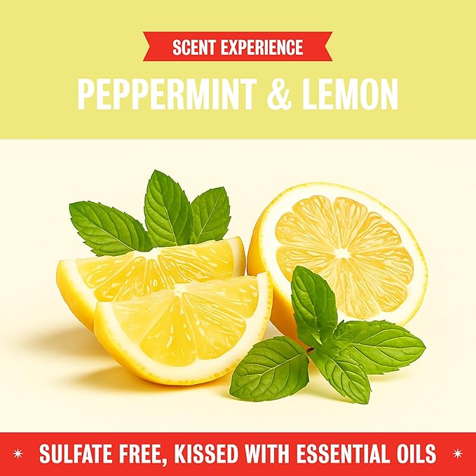 Rebel Green Sparkling Glass Spray - Streak-Free Natural Glass Cleaner for Windows, Mirrors, and Surfaces - Peppermint & Lemon Scent - 16 oz - 2 Pack