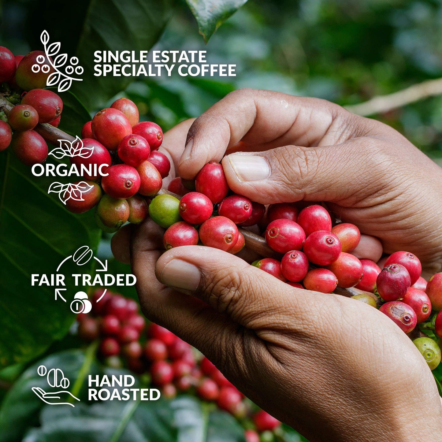 Gourmet Birthday Coffee Gift Set for Men & Women - 7 World's Finest Single Origin Specialty & Organic Coffees in Innovative Brewers | Sampler Box for Coffee Lover to Brew & Enjoy Anytime, Anywhere
