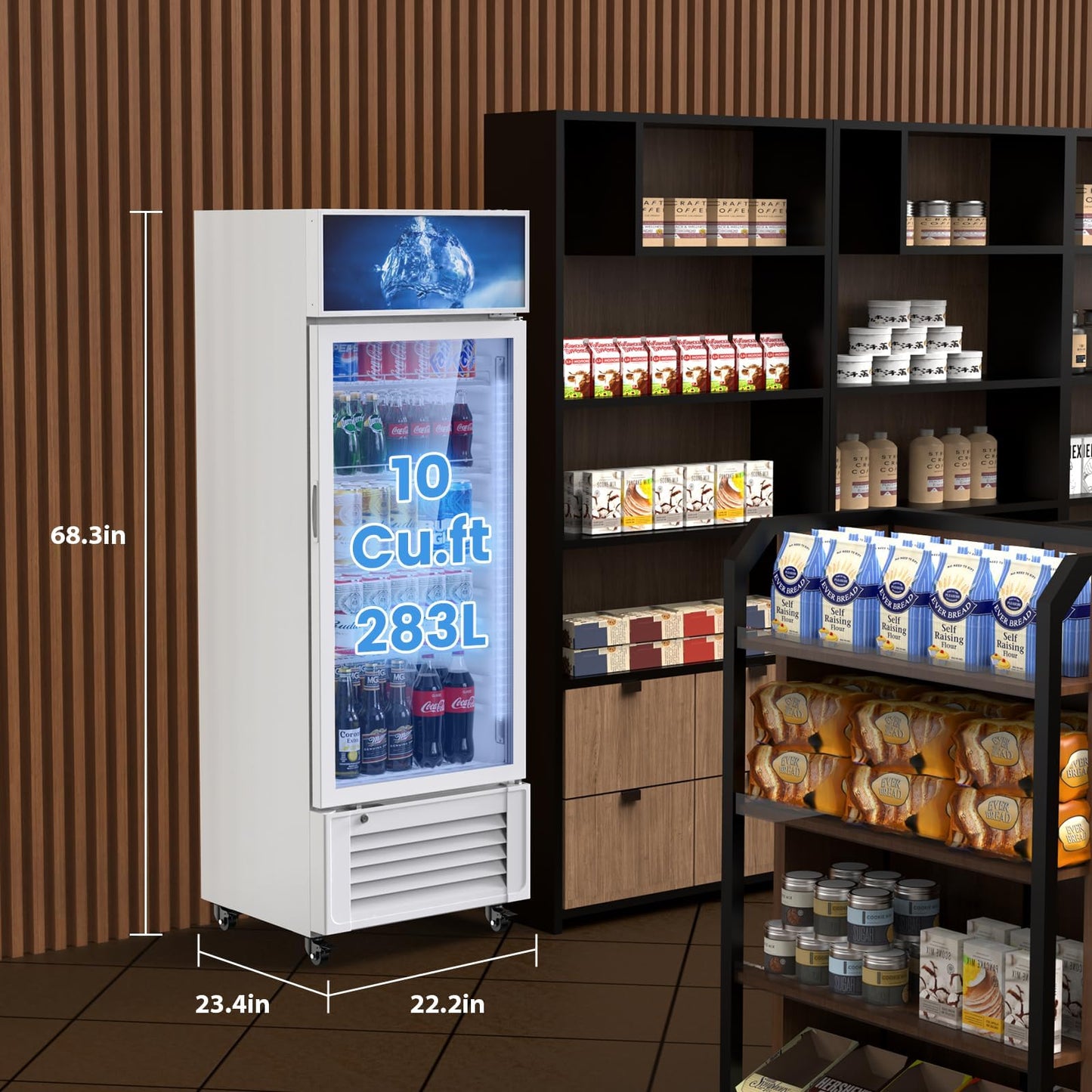 Mojgar 10 Cu Ft Commercial Refrigerators Single Door,Glass Door Merchandiser Display Beverage Fridge with Built-in LED Light,1.64kwh/24h Retail Cooler for Shop,Restaurant,Apartment,etc