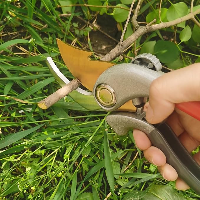 Pruning Shears for Gardening, Garden Scissors and Clippers, Professional Branch Garden Secateurs (Red-grey)