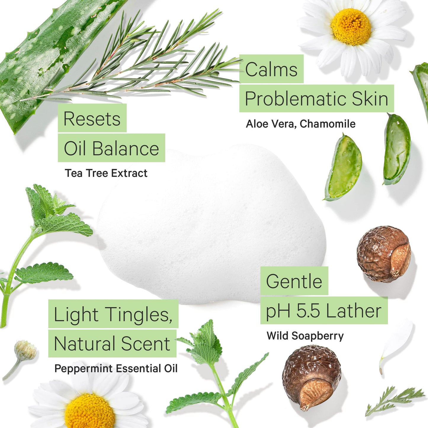 Tree to Tub Sensitive Skin Face Wash for Oily or Combination Skin - Gentle Tea Tree Face Cleanser for Women & Men, Oil Free Dail