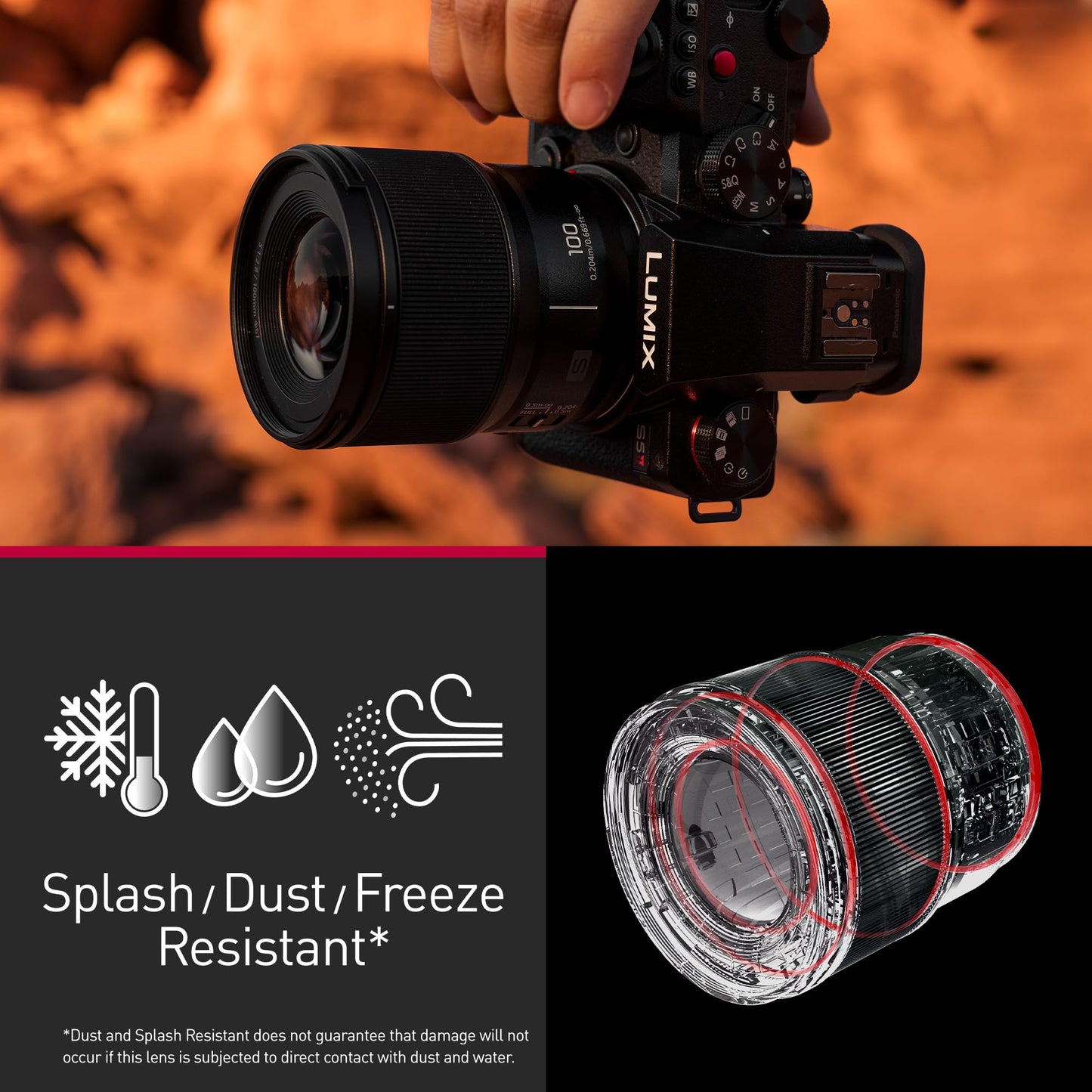 Panasonic LUMIX Full Frame Camera Lens, S 100mm F2.8 Macro - S-E100J