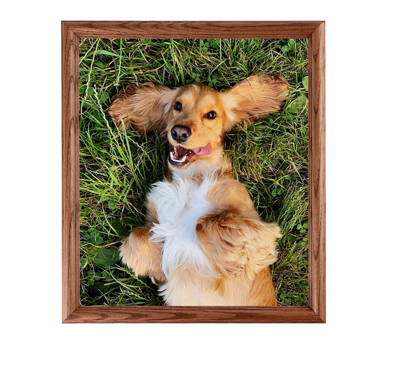 ArtToFrames 11x12 inch Honey Oak Wood Picture Frame, 2WOM01336-150-11x12