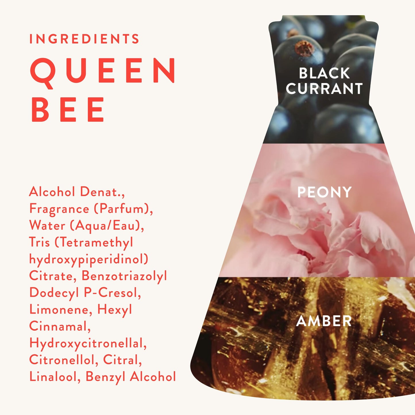 Good Chemistry Queen Bee Body Mist 5 fl oz - Light, Fruity, Floral Spray with Black Currant, Peony, & Amber - Bold, Clean & Vegan