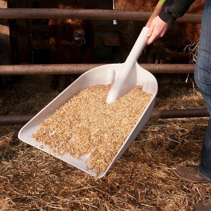 AMES 46-Inch Poly Scoop with Hardwood Handle and Ergonomic D-Grip, Ideal for Garden Care, Landscaping, Moving Shavings or Grain, Farming Tasks, and Heavy-Duty Yard Work