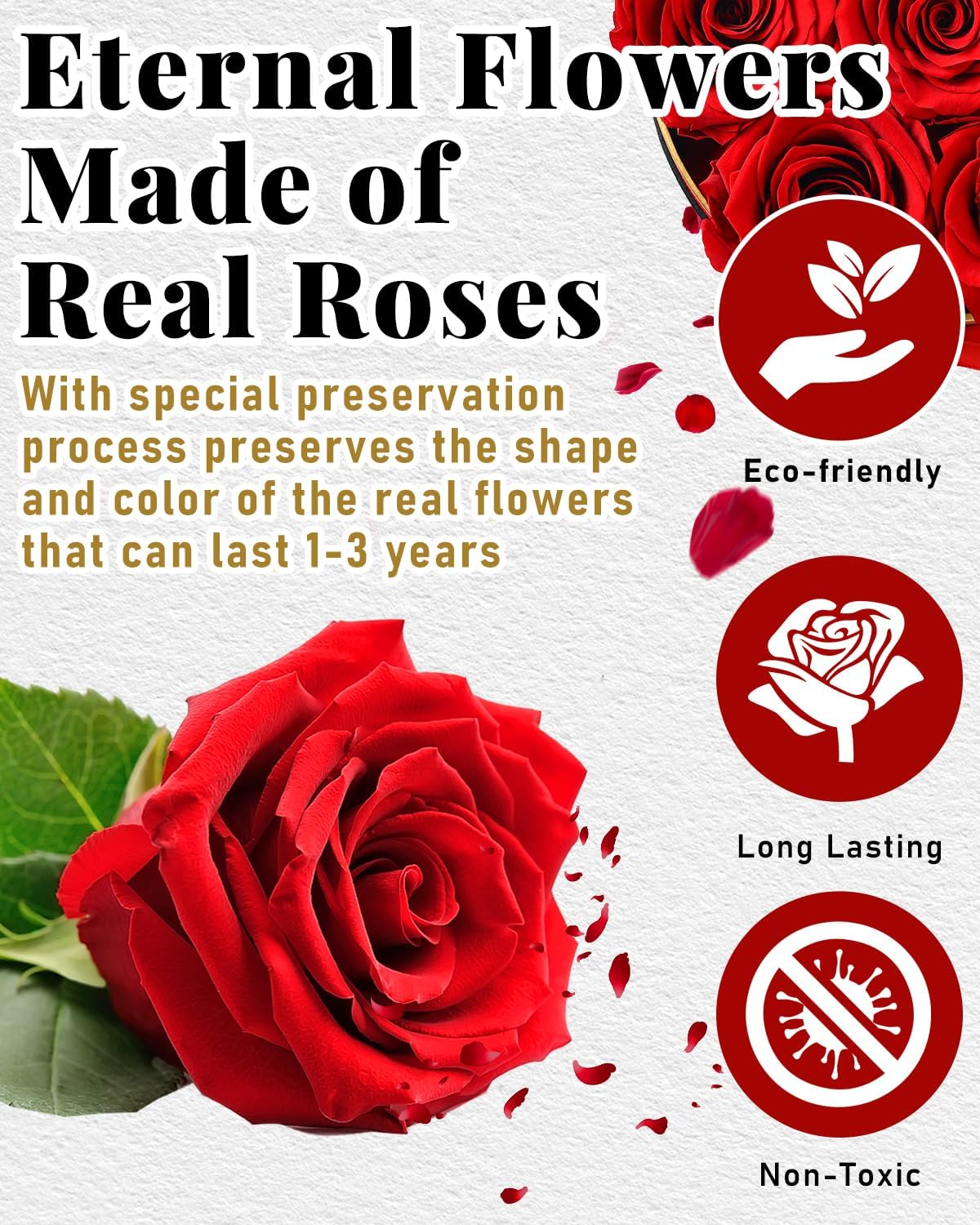 Changshunqi Forever Flowers Preserved Roses in a Box - 7 Preserved Flowers in a Box Last 2-3 Years, Eternal Rose Birthday Flower Gifts for Women Her Wife, Anniversary, Mothers Rose Gift for Her