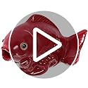 HOMSFOU Ceramic Carp Fountain Spitter Outdoor Garden Fish Ornament Water Spray Feature for Patio Pool and Yard Decoration ...