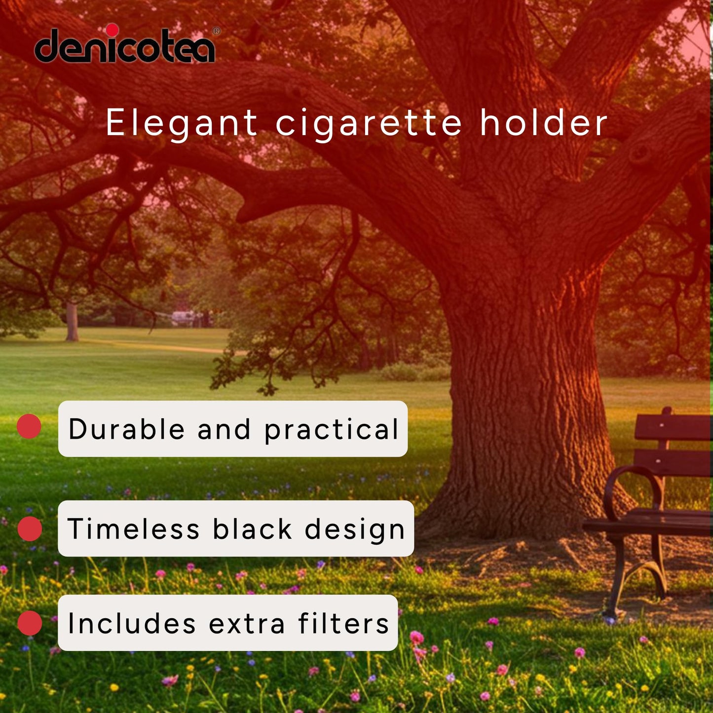 Denicotea Black Cigarette Holder with 10 Extra Filters - Standard 90mm Length