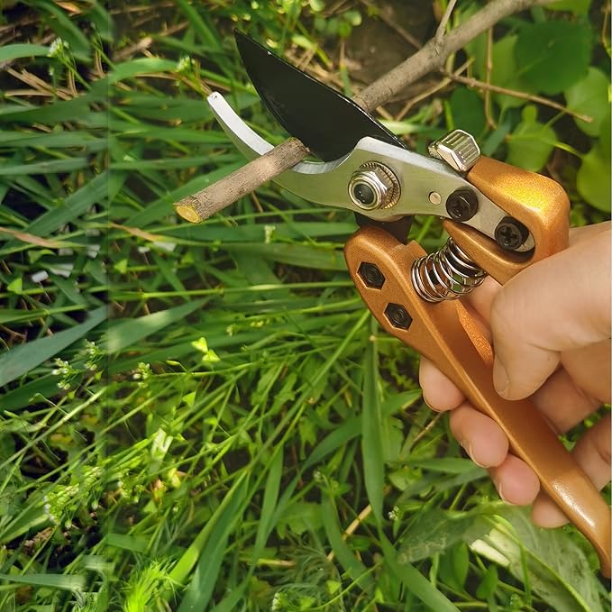 Pruning Shears for Gardening, Garden Scissors and Clippers for arthritis weak, Professional Branch Garden Secateurs (Gold)