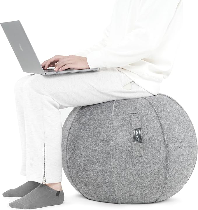 ANC POP Yoga Ball Exercise Ball, Anti Slip Stability Ball Chair, 25” Heavy Duty Large Gym Ball for Fitness, Balance and Core Workout with Cover, Easy Clean
