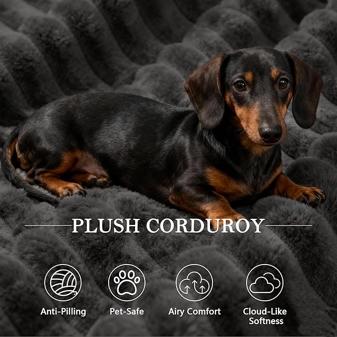 105’’ L-Shape Modular Sectional Sofa with Chaise, Convertible Cloud Couch, Corduroy Fabric & High-Density Memory Foam, No Assembly Required for Living Room (Black, Left Facing Chaise)