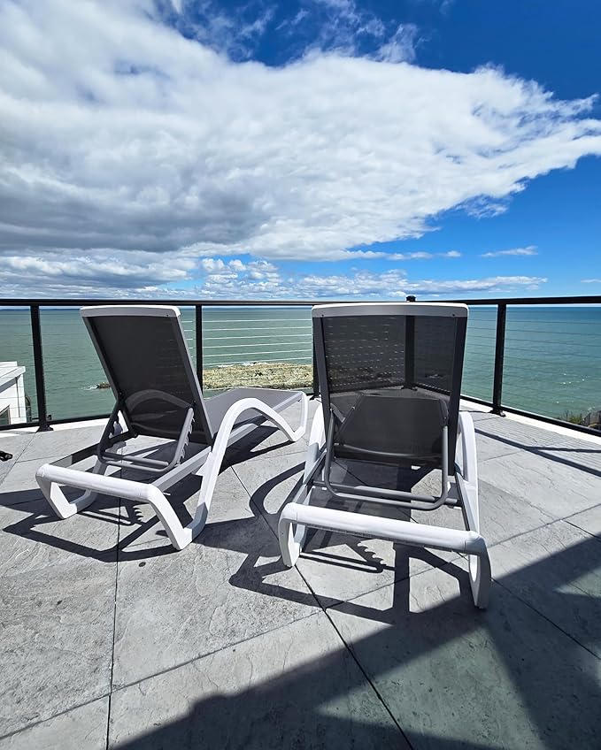 PURPLE LEAF Patio Chaise Lounge Chair with Armrests Outside Aluminum Plastic Stackable Tanning Chairs for Pool Sunbathing Beach Deck Outdoor Lounger, Light Grey