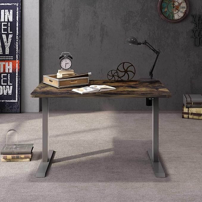 FLEXISPOT EN1 One-Piece Standing Desk 48 x 24 Inches Height Adjustable Electric Desk (Silver Frame + Rustic Top, 2 Packages)