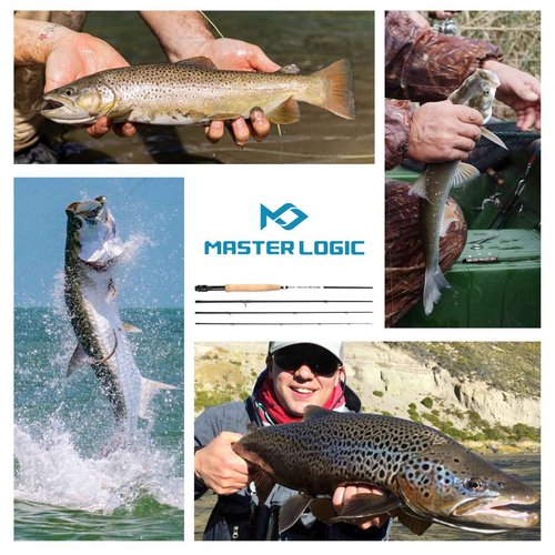 Master Logic Fly Fishing Rod and Reel Combo Starter Kit with Lightweight Fly Box Case & Fishing Flies and Die Cast Aluminum Reel, Carrying Case and Accessories, Fly Fishing Complete Starter Package