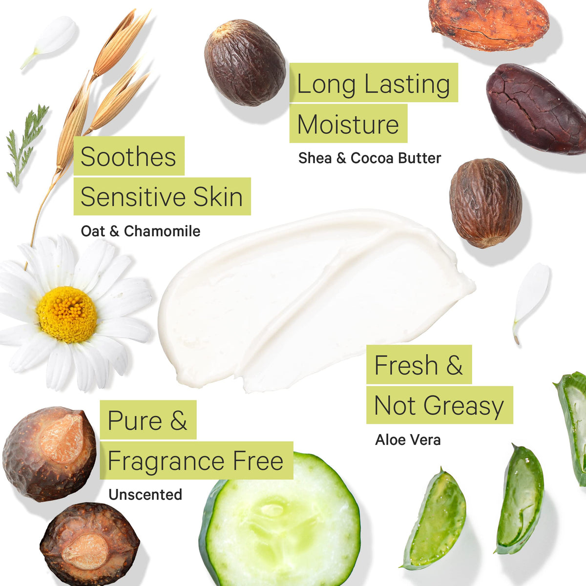 Tree to Tub Unscented Shea Butter Body Lotion for Dry Skin - Fragrance Free Lotion,Vegan Body Moisturizer, Good for Sensitive Sk