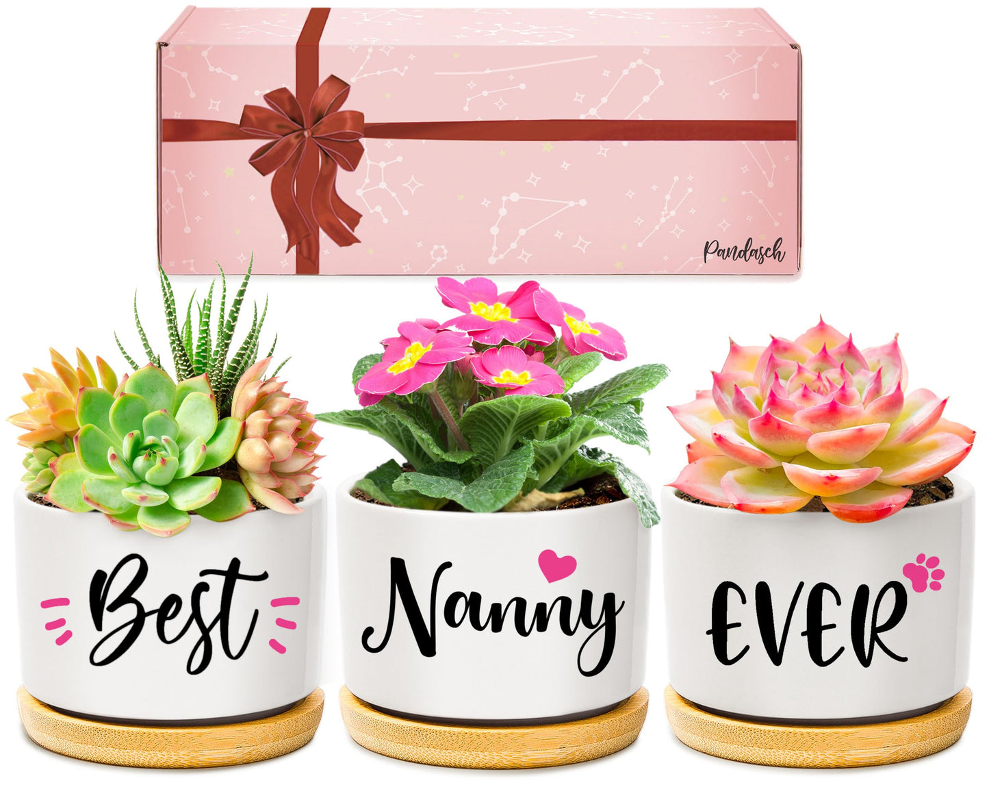 AceThrills Nanny Gifts for Birthday, for Nanny from Grandkids, Unique Present on Thanksgiving Christmas - 3 Pcs 3.15" Succulent Pots with Bamboo Tray