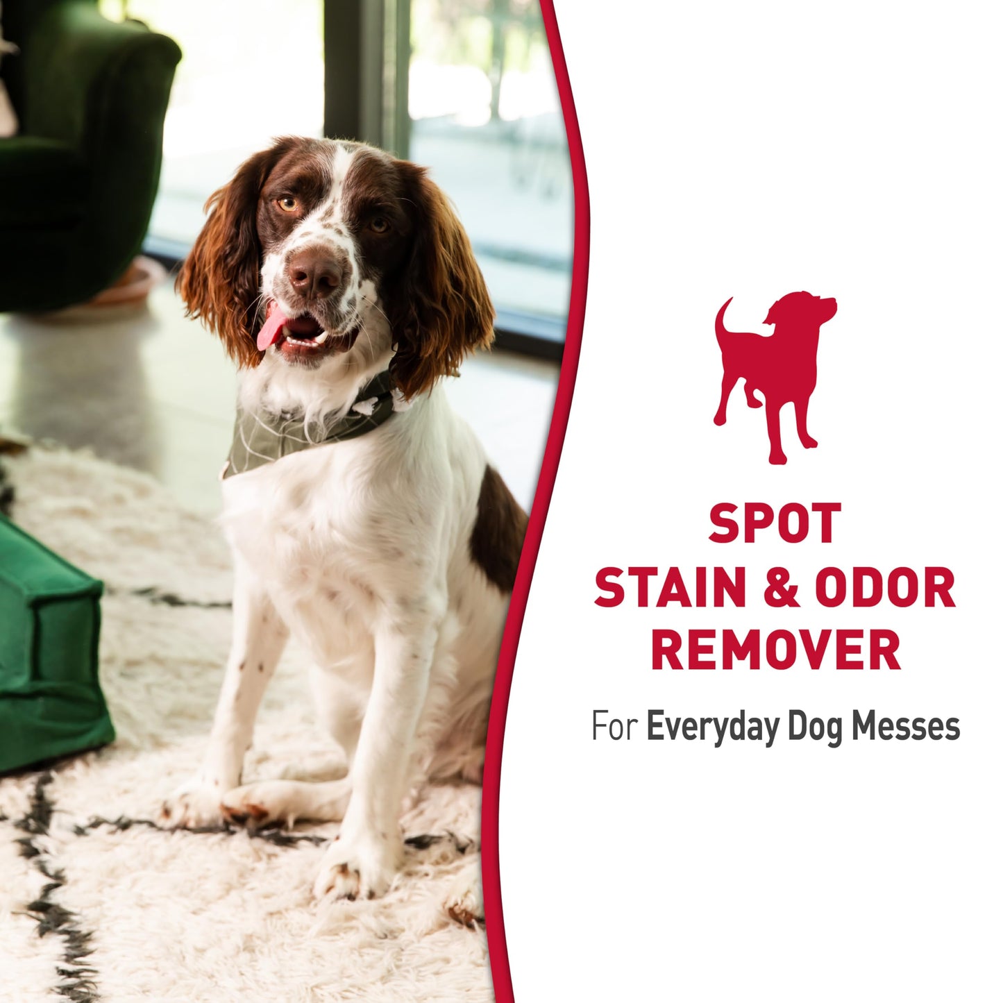 Nature’s Miracle Stain and Odor Remover Dog, Odor Control Formula, 32 oz