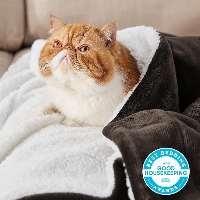 Bedsure GentleSoft Sherpa Fleece Throw Blanket for Couch - Thick and Warm Throw for Women and Men, Soft Fuzzy Plush Blanket for Winter, Non-Heated, Brown, 50x60 Inches
