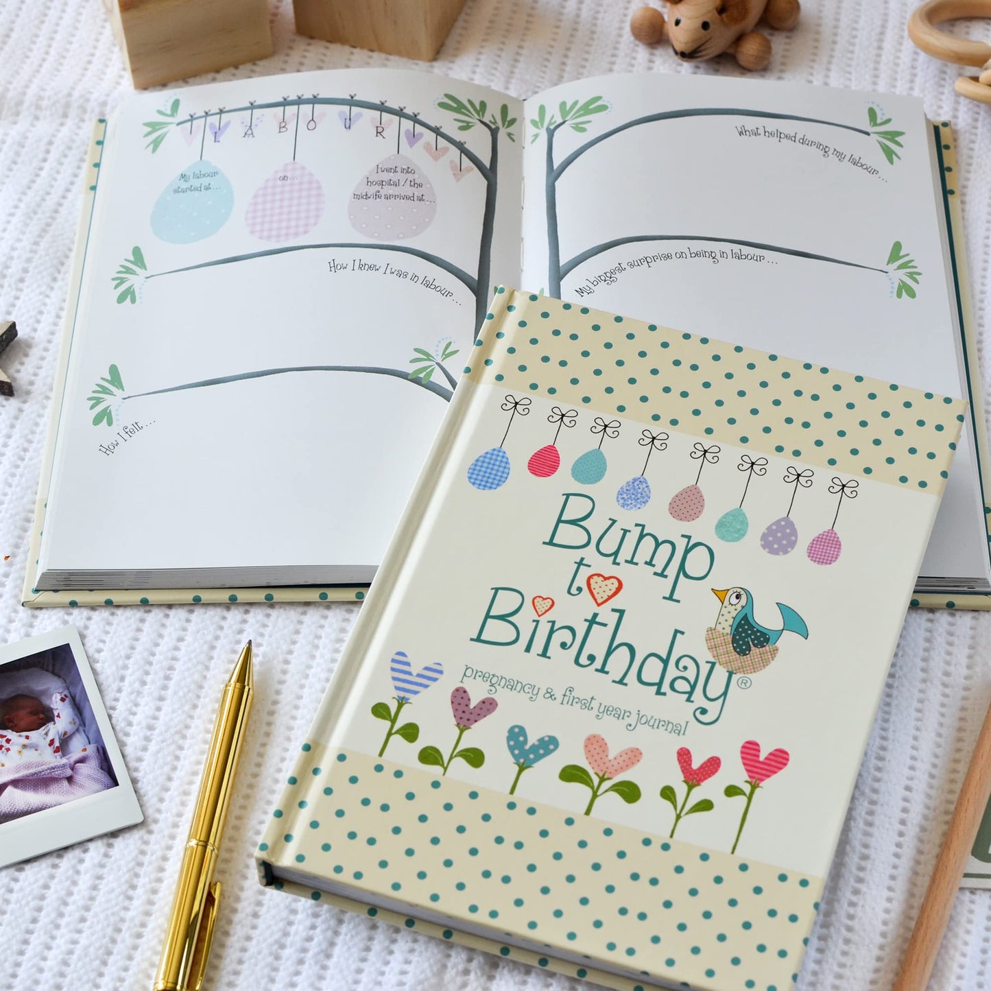 Bump To Birthday: Pregnancy & First Year Journal To Capture Memories Of the Growing Bump, the Birth & the New Baby