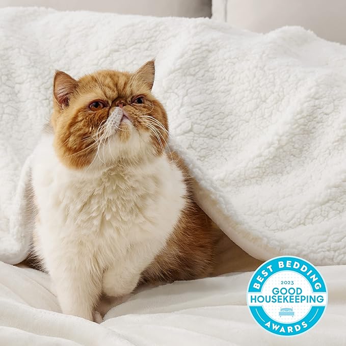 Bedsure GentleSoft Sherpa Fleece Throw Blanket Twin Size for Couch - Thick and Warm Throw for Women and Men, Soft Fuzzy Plush Twin Blanket for Winter, Non-Heated, Cream, 60x80 Inches