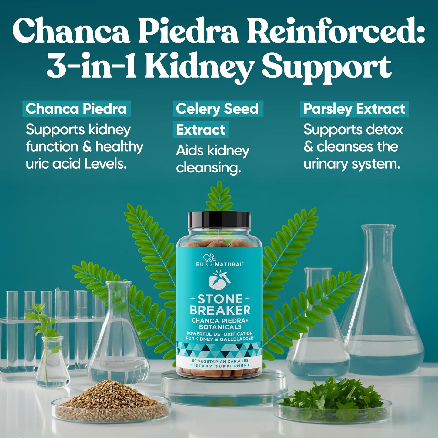 Chanca Piedra Stone Breaker - The Original Stone Breaking Formula with Celery Seed & Parsley - Supports Kidney, Gallbladder & Urinary Tract Cleansing to Help Flush Impurities - 60 Vegetarian Capsules