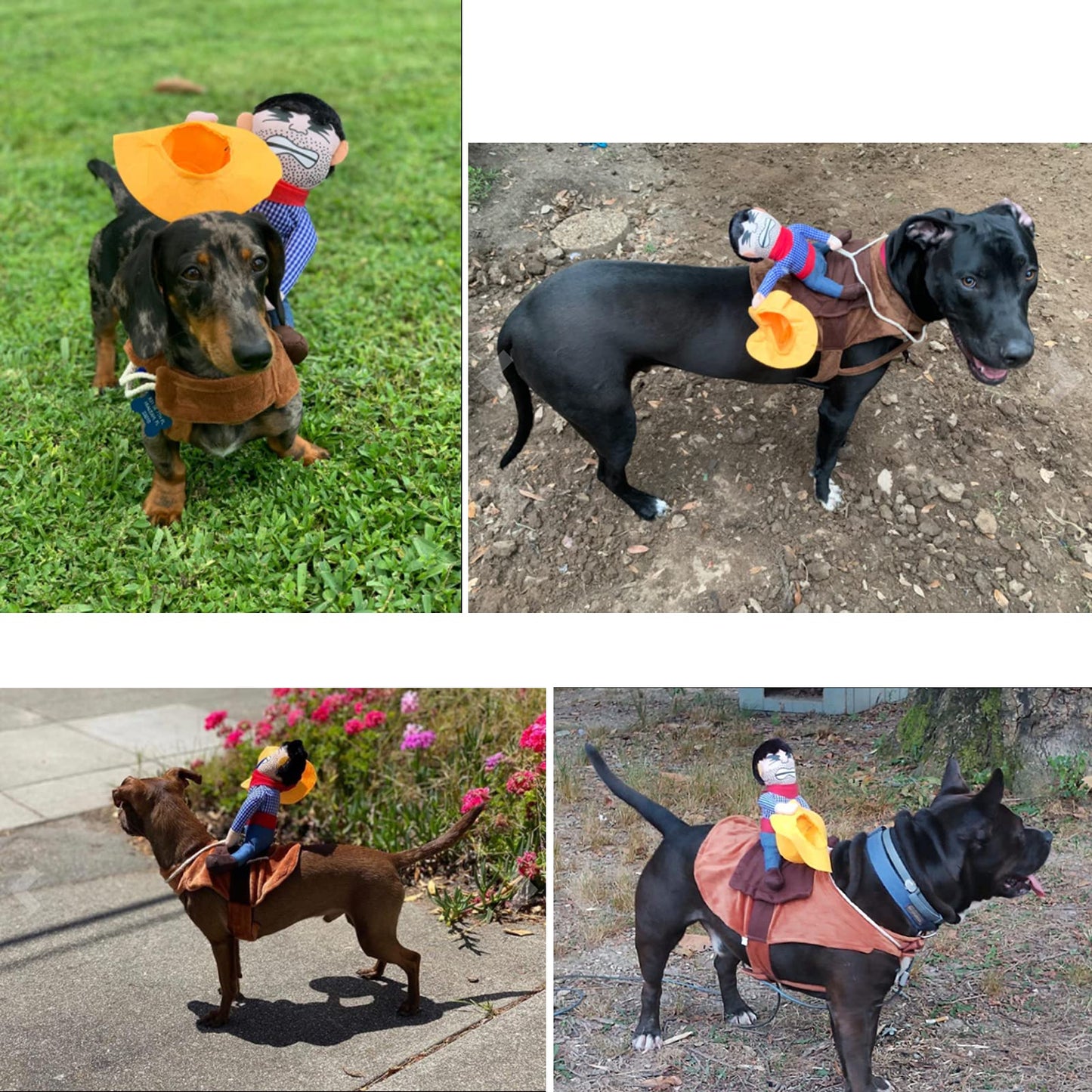 iSmarten Pet Costume Dog Costume Clothes Pet Outfit Suit Cowboy Rider Style with Doll and Hat Pet Costume (S)