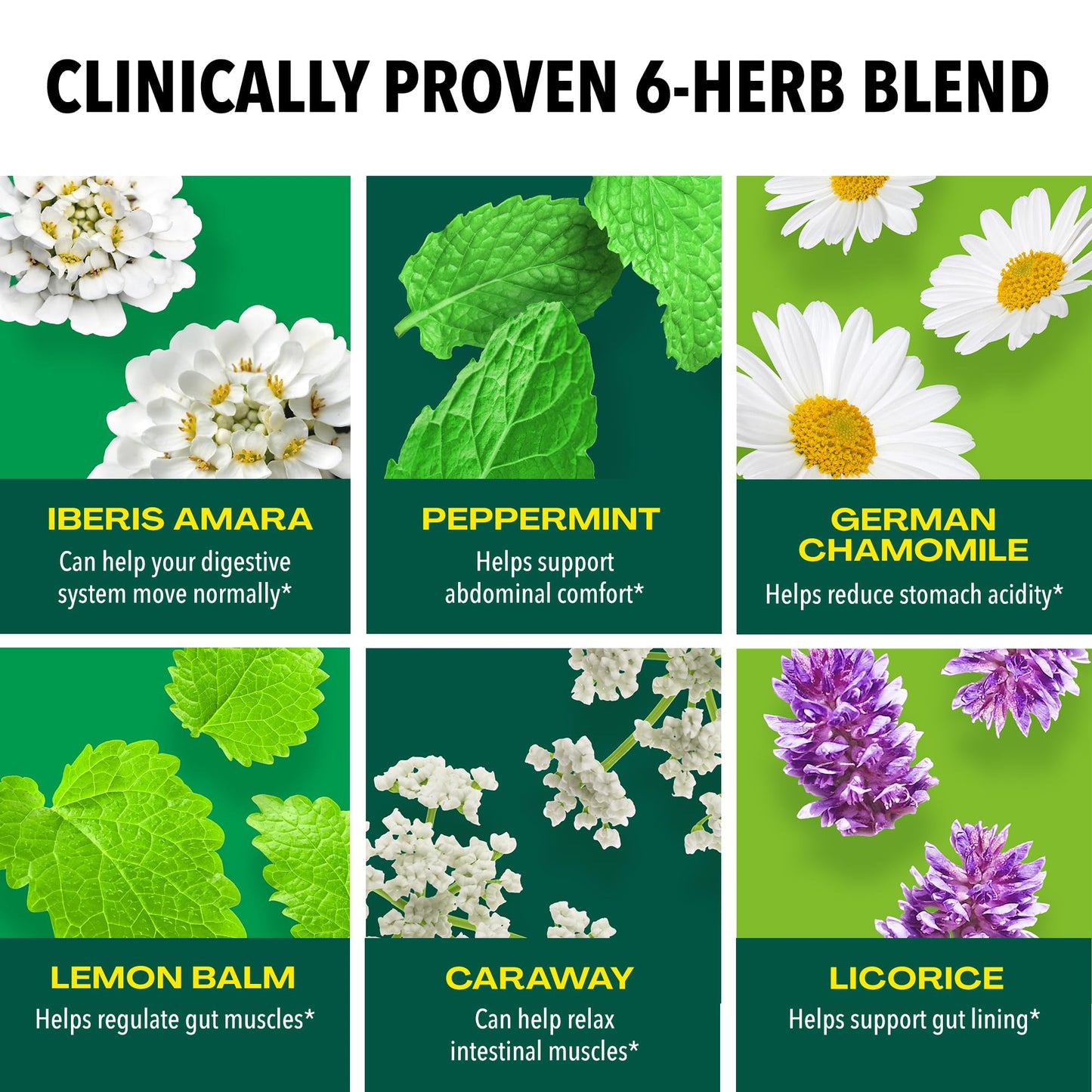 Iberogast Softgels, Herbal Relief of Stomach Upsets: Occasional Indigestion, Bloating, Gas, Nausea, Upset Stomach; 6-Herb Blend with Iberis Amara, Peppermint, Licorice, Lemon Balm; 30ct