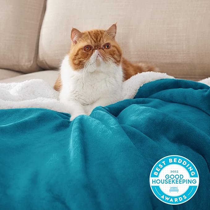 Bedsure GentleSoft Sherpa Fleece Blankets Queen Size for Bed - Thick and Warm Throw for Women and Men, Soft Fuzzy Plush Queen Blanket for Winter, Non-Heated, Teal, 90x90 Inches
